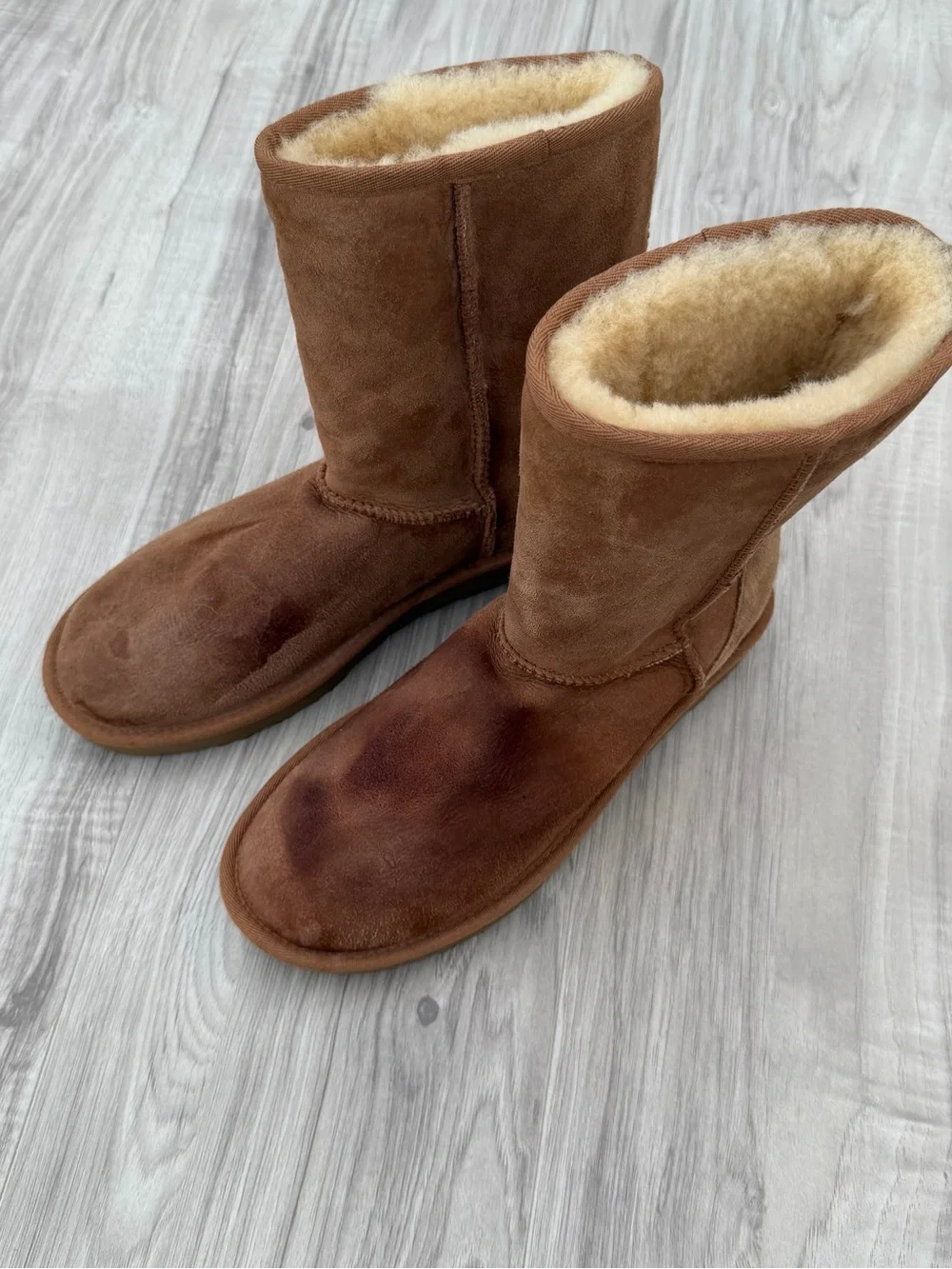 UGG Women's Classic Short II Boots in the color chestnut